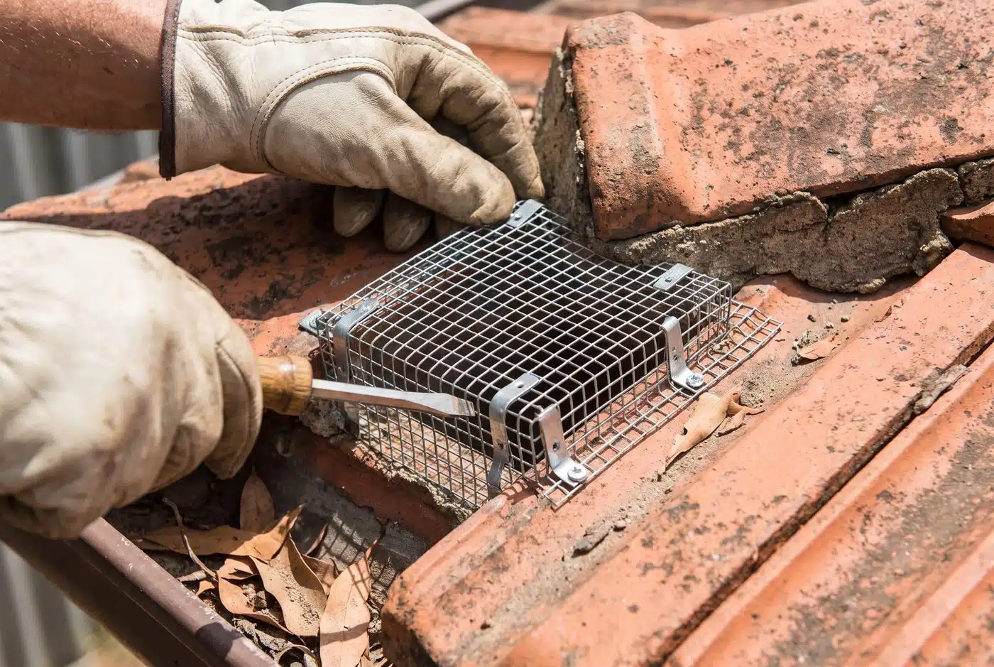 Galvanised mesh one way possum door being installed on a tiled Melbourne roof
